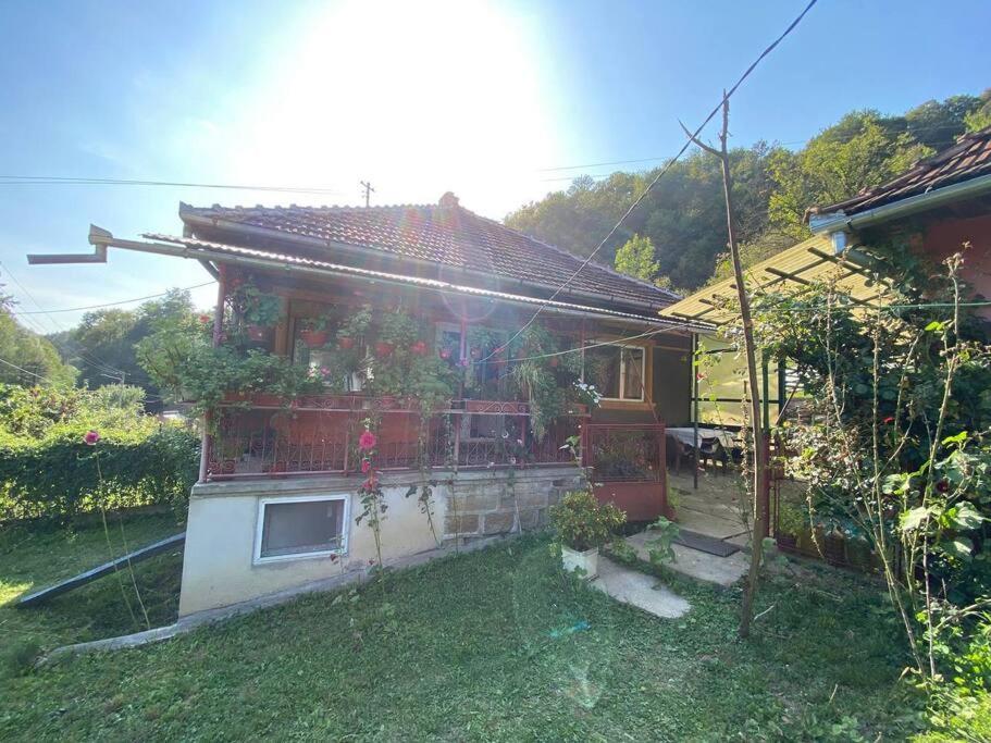 Casa- Viata La Tara Villa Bucuresci Ngoại thất bức ảnh