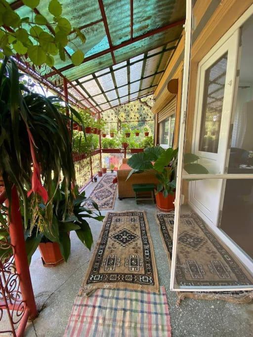 Casa- Viata La Tara Villa Bucuresci Ngoại thất bức ảnh