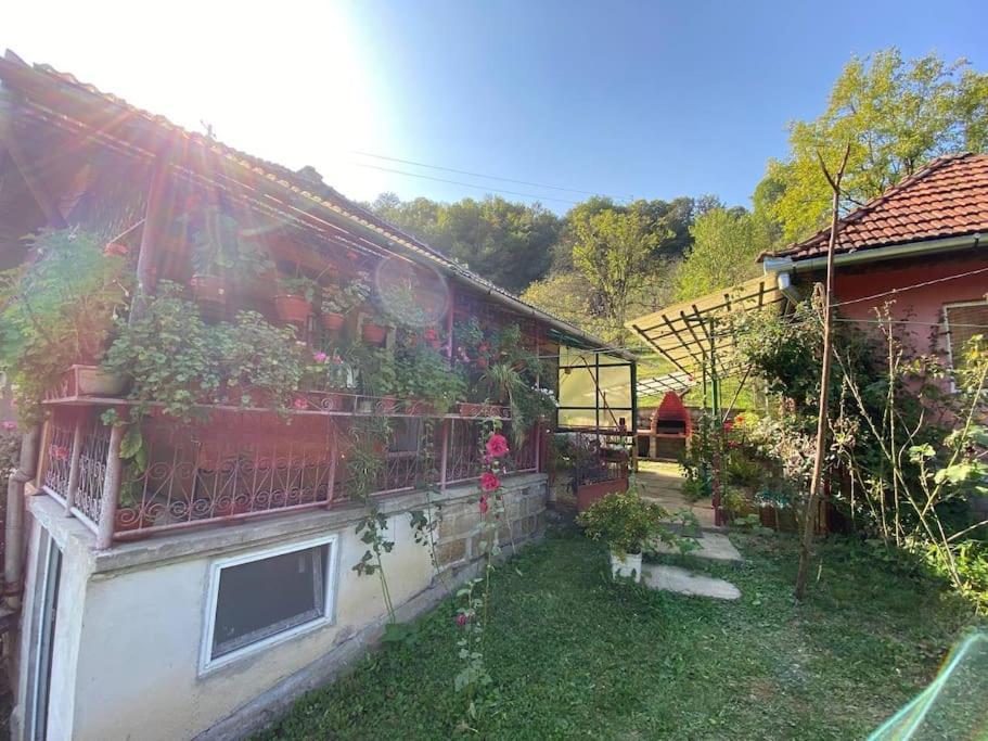 Casa- Viata La Tara Villa Bucuresci Ngoại thất bức ảnh