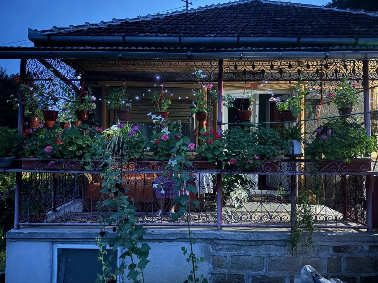 Casa- Viata La Tara Villa Bucuresci Ngoại thất bức ảnh