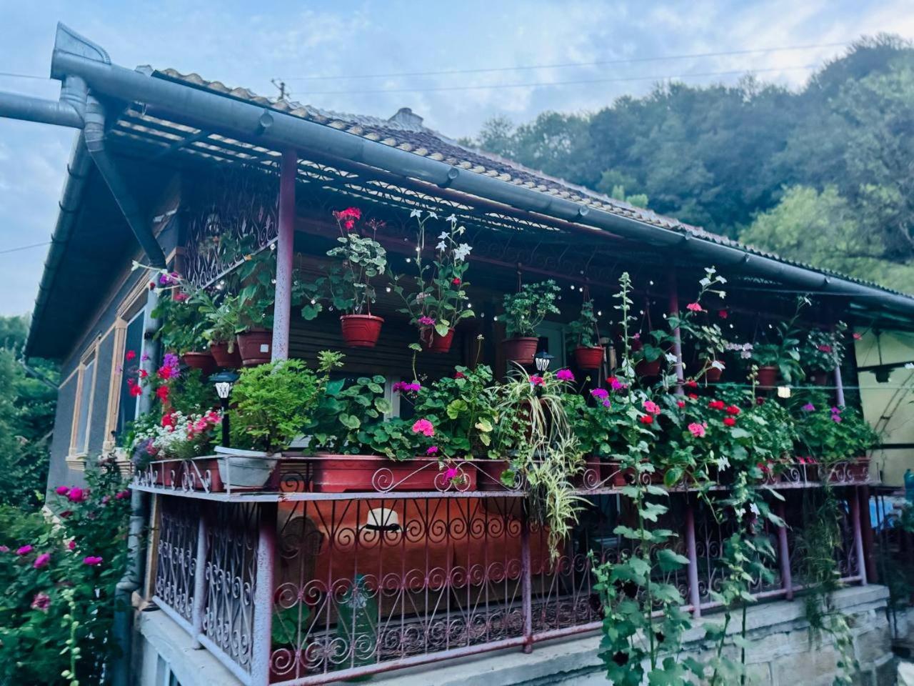 Casa- Viata La Tara Villa Bucuresci Ngoại thất bức ảnh